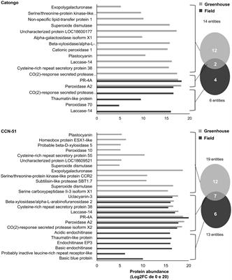 Apoplastomes of contrasting cacao genotypes to witches’ broom disease reveals differential accumulation of PR proteins